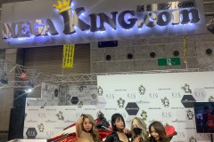 LINE_ALBUM_2023.2.11大阪オートメッセ２日目_240510_29