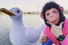 買い鳥（買い取り）ウッホ〜